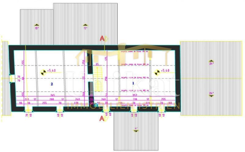 Avtentično posestvo s kamnito hišo in velikim zemljiščem